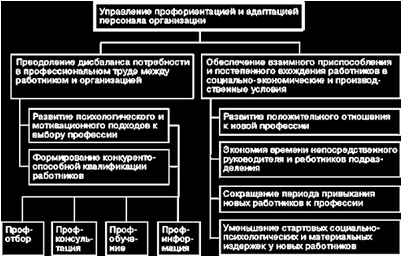 разновидность