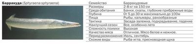 бикарбонат