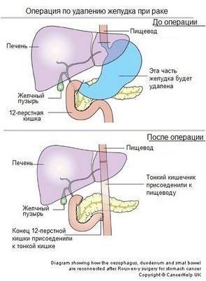клетка