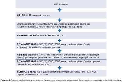 Одобренные FDA препараты для лечения диабета и ожирения могут уменьшить рецидивы кокаина и помочь зависимым людям избавиться от этой привычки