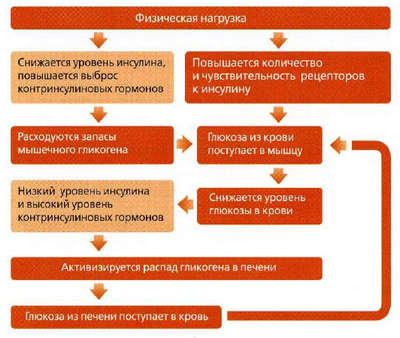 Более высокий уровень физической подготовки снижает риск диабета