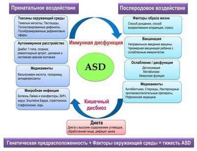 Исследователи демонстрируют, как дефекты митохондрий могут привести к расстройству аутистического спектра